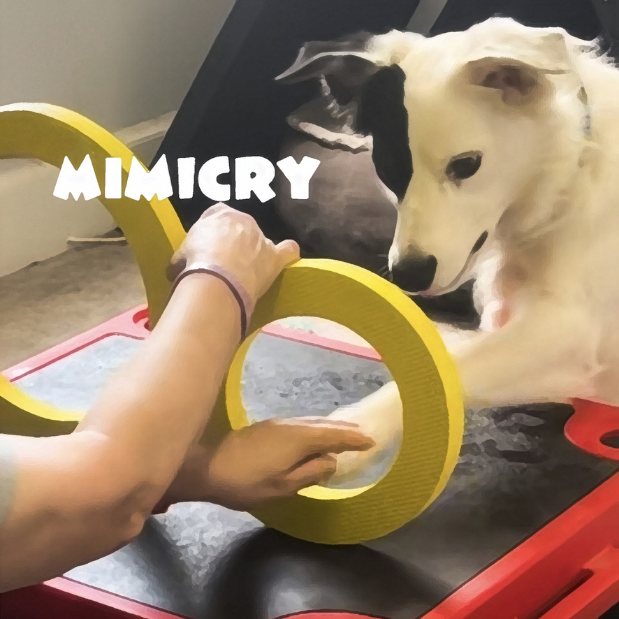 B47F1D5C-E199-446C-8ABE-8DC0A9ED28EA_1_105_c